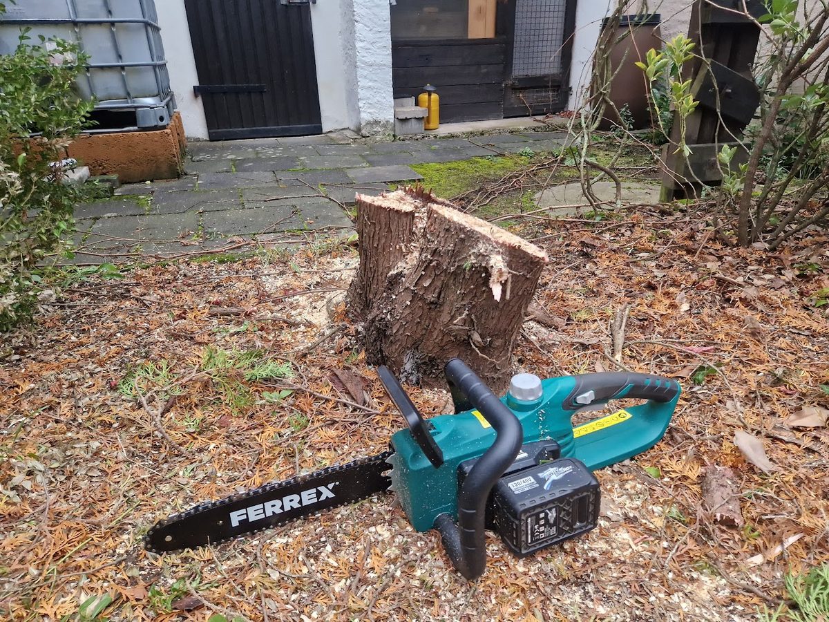 Baumfällung